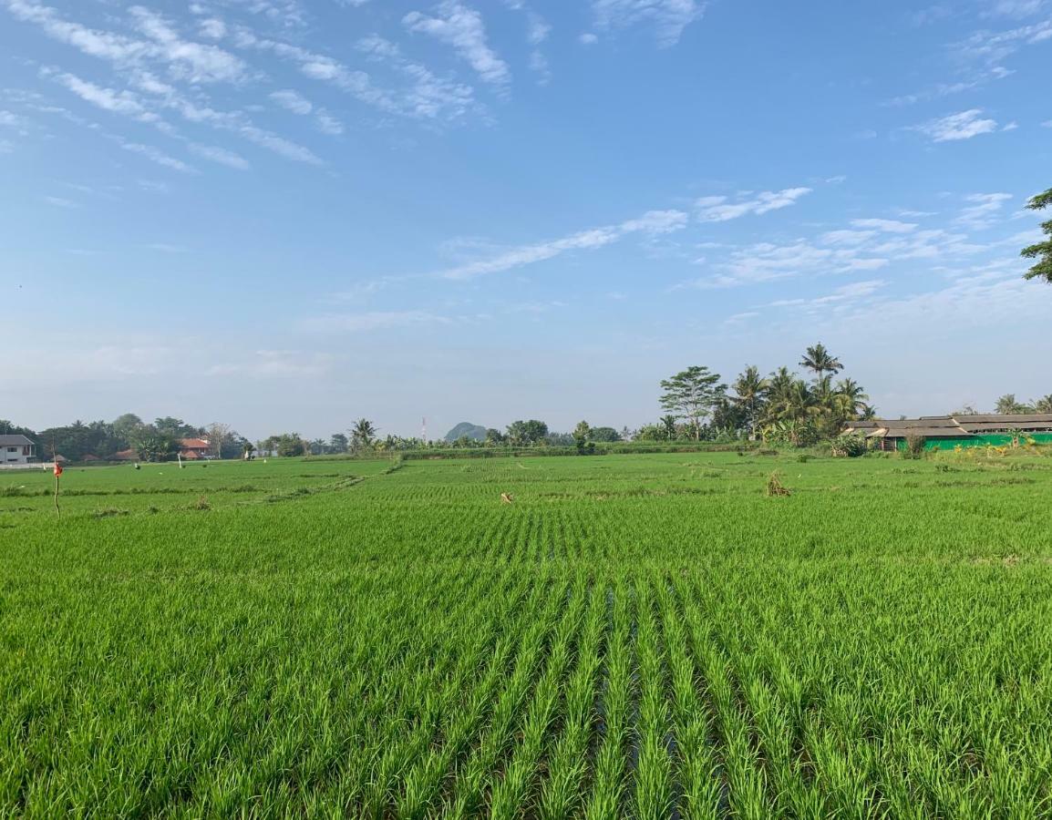 Private Pool Villa - Villa Saia Ubud Εξωτερικό φωτογραφία